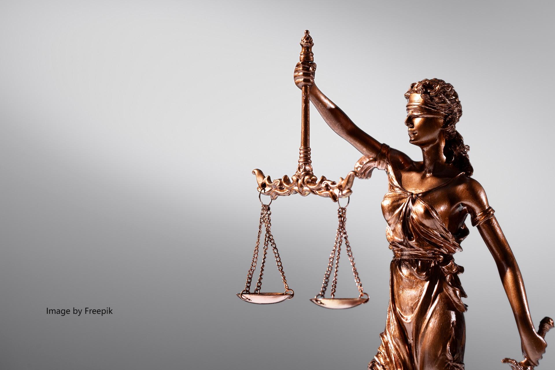 律师视点：双重代表诉讼制度的演进、裁判规则与要点分析