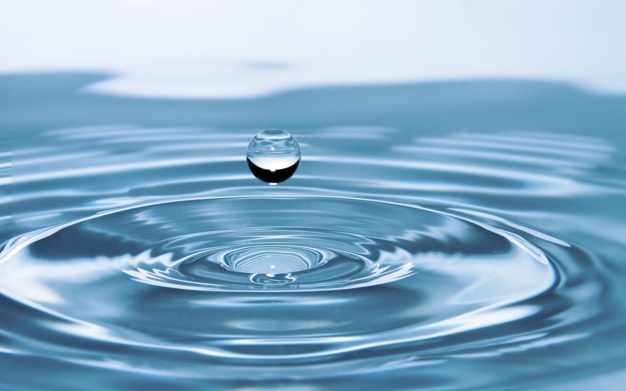 新规速递：发票合规有“正负面清单”：哪些能开、哪些不能开？